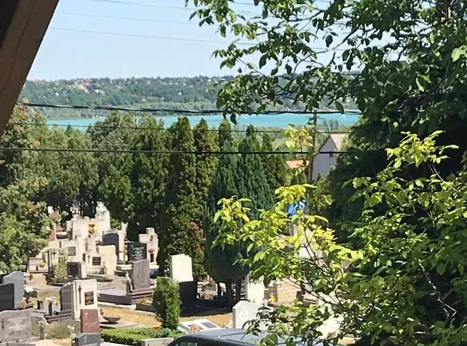 Marta * 巴拉顿诺尔马迪